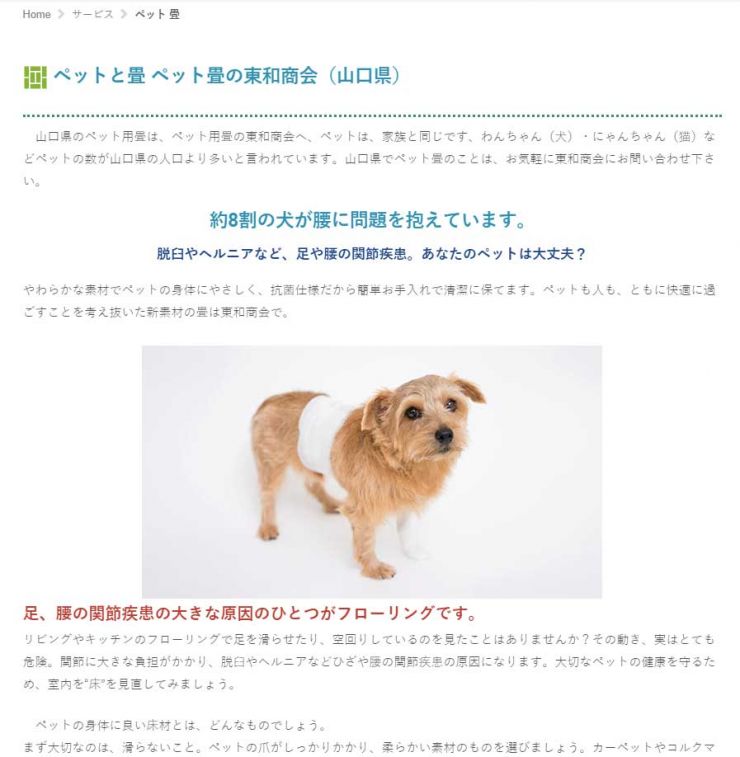 ペット畳・犬のヘルニア