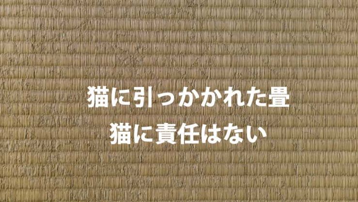 山陽小野田市のペット畳(たたみ)の張替え